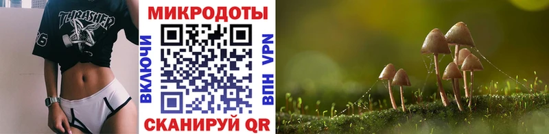 купить  сайты  Южа  Псилоцибиновые грибы MAGIC MUSHROOMS 
